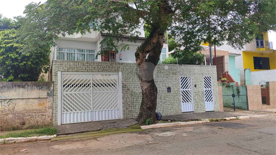 Foto REO923597