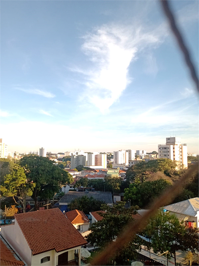 Foto REO923653