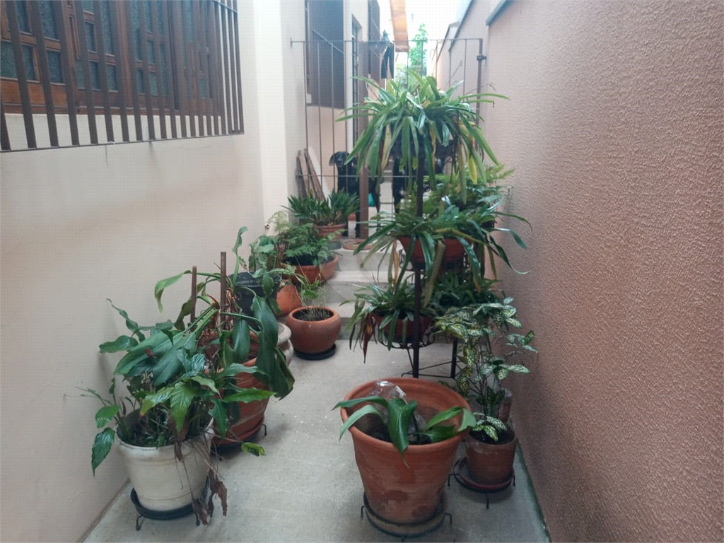 Venda Casa térrea São Paulo Vila Ipojuca REO923685 10