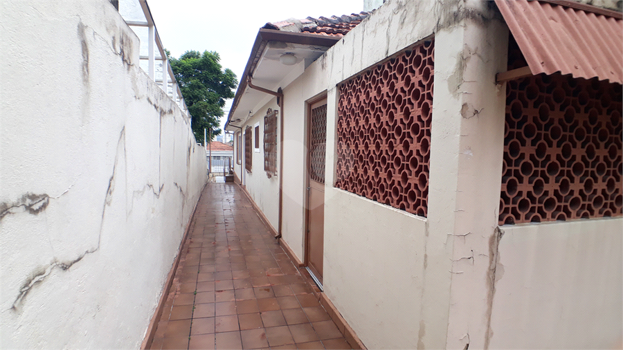 Foto REO924428