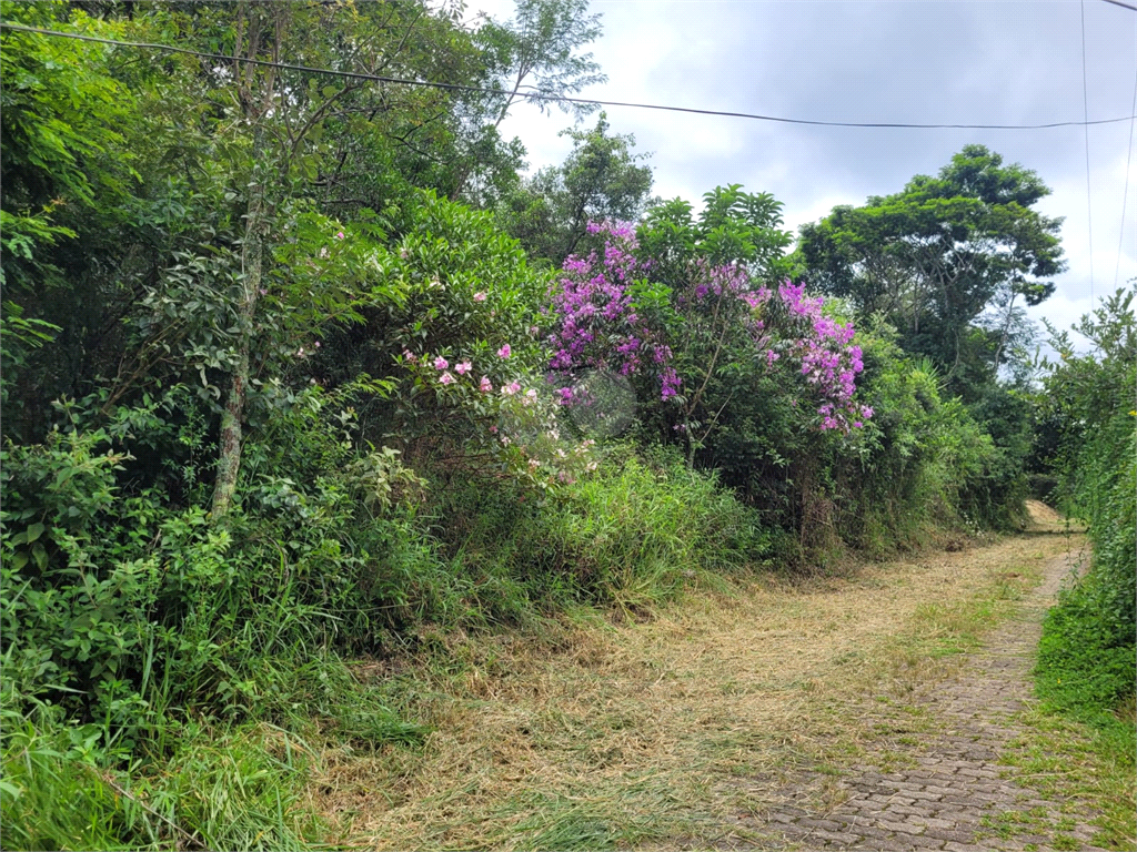 Venda Terreno Mairiporã Juqueri Mirim REO924557 12