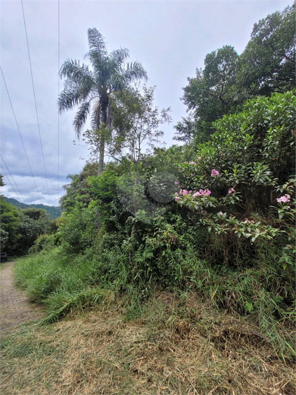 Venda Terreno Mairiporã Juqueri Mirim REO924557 9