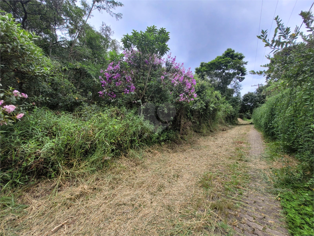 Venda Terreno Mairiporã Juqueri Mirim REO924557 14