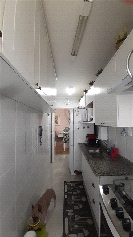 Venda Apartamento São Paulo Casa Verde REO924582 10