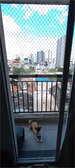 Venda Apartamento São Paulo Quinta Da Paineira REO924649 13