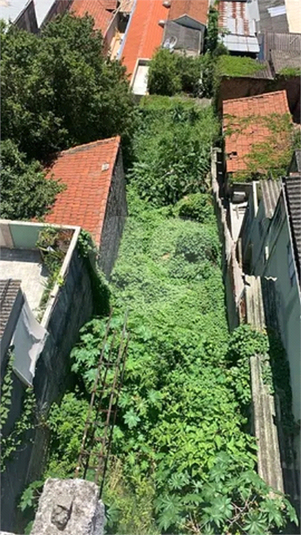 Venda Terreno São Paulo Vila Anglo Brasileira REO924699 2