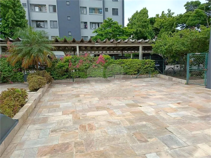 Foto REO924791