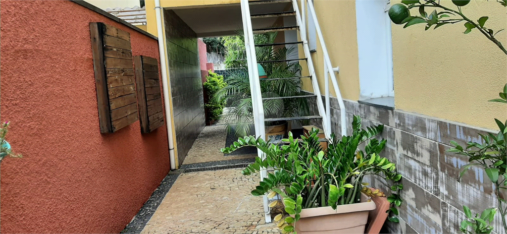 Venda Sobrado São Paulo Jardim Avelino REO924888 32