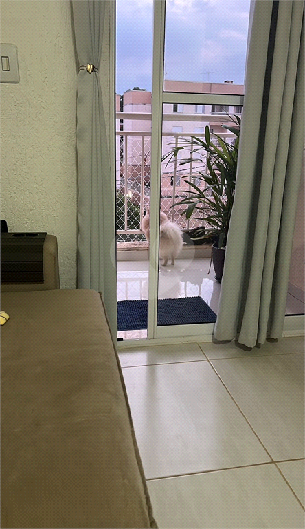 Venda Apartamento Bauru Vila Giunta REO925228 10