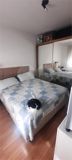 Venda Apartamento São Paulo Vila Guilherme REO925355 14