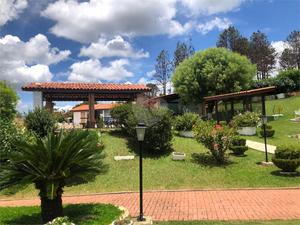Foto REO925461