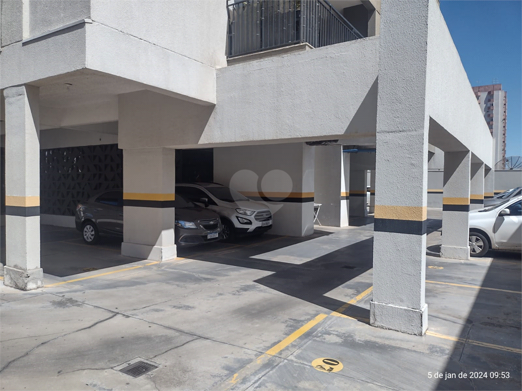 Aluguel Apartamento Bauru Vila Altinópolis REO925564 12