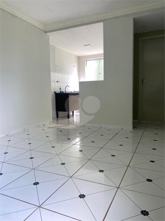 Venda Apartamento Bauru Conjunto Habitacional Engenheiro Otávio Rasi REO926170 17