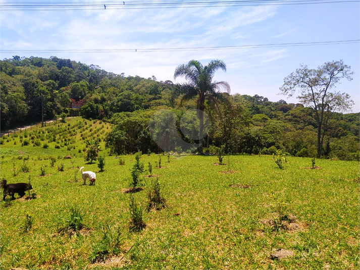 Venda Sítio São Roque Alto Da Serra (mailasqui) REO926397 3