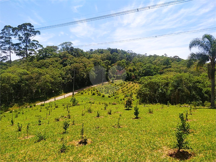 Venda Sítio São Roque Alto Da Serra (mailasqui) REO926397 10