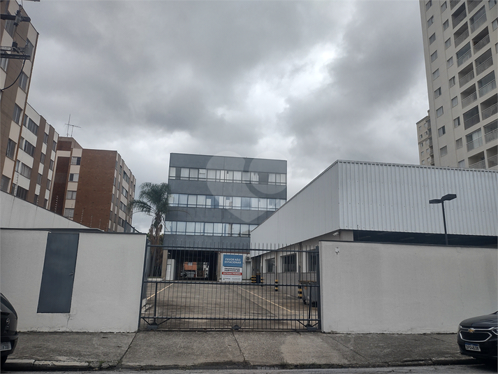Foto REO926575