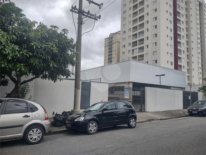 Foto REO926575