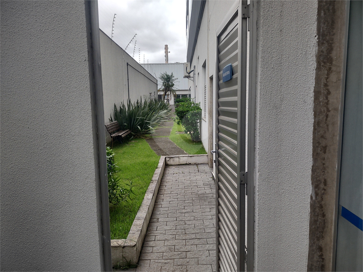 Foto REO926575