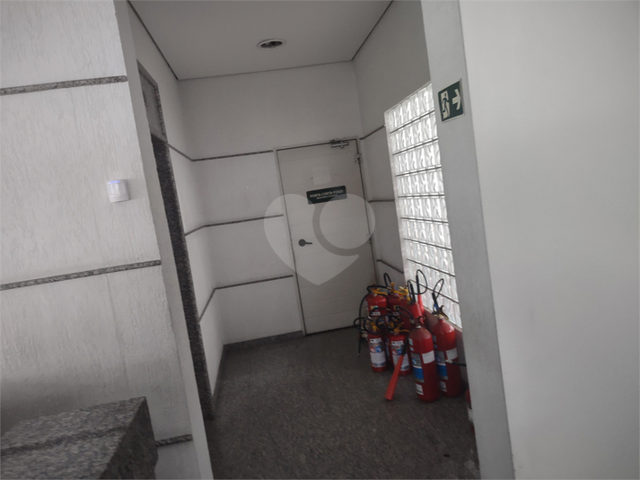 Foto REO926575