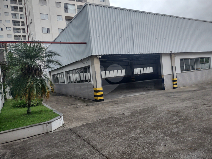 Foto REO926575