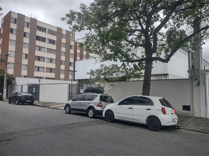 Foto REO926575
