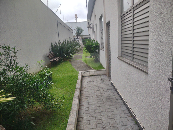 Foto REO926575