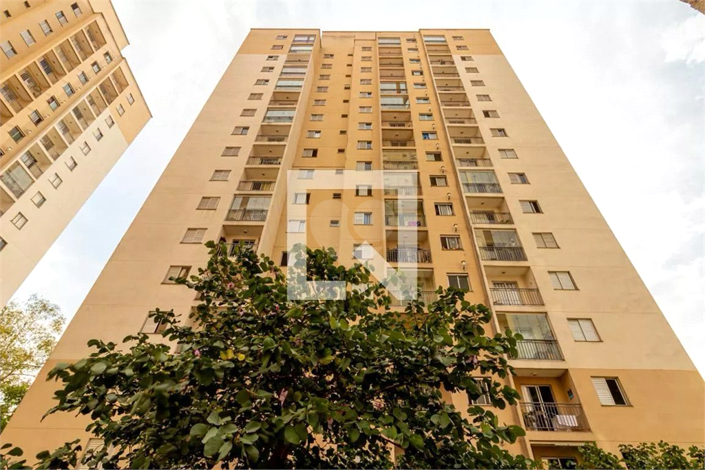 Venda Apartamento São Paulo Vila Liviero REO926690 27