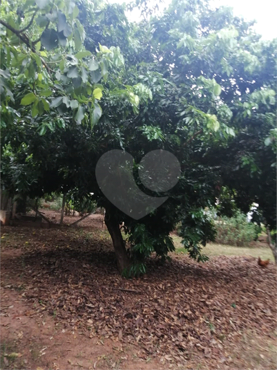 Foto REO926698