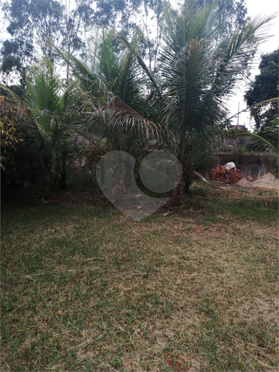 Foto REO926698
