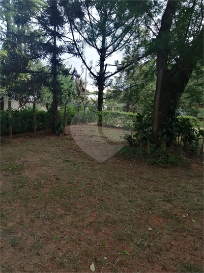 Foto REO926698