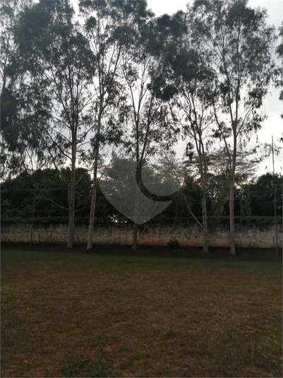 Foto REO926698