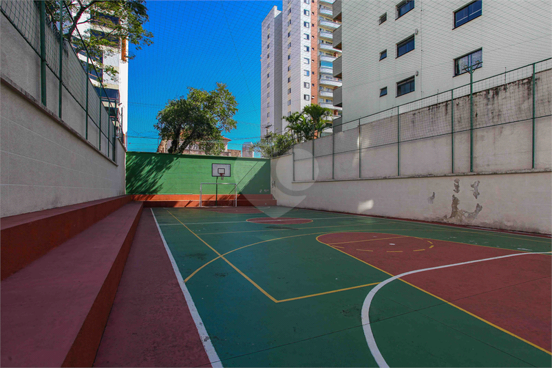 Foto REO926833