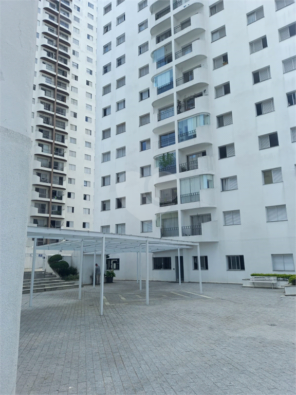 Venda Apartamento São Paulo Jardim Itapeva REO926837 38