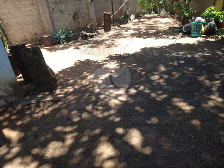 Foto REO926910