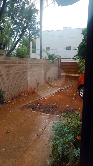 Foto REO926910