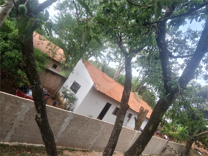 Foto REO926910
