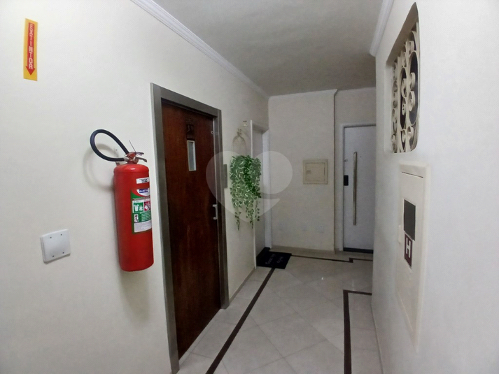 Foto REO927517
