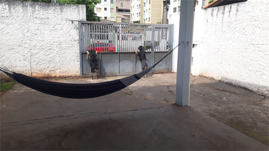 Foto REO927518