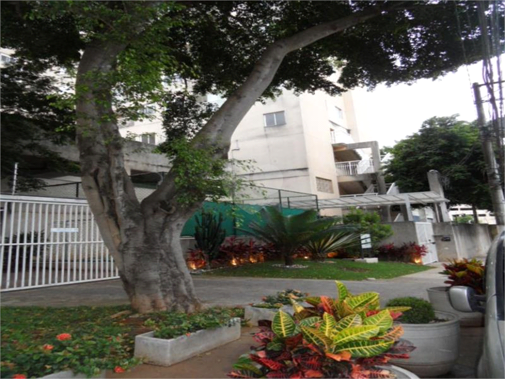 Venda Apartamento São Paulo Jardim Casablanca REO927620 19