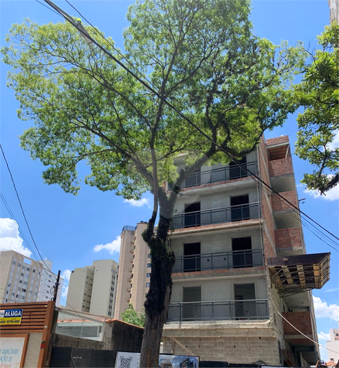 Venda Apartamento São Paulo Água Fria REO928625 10