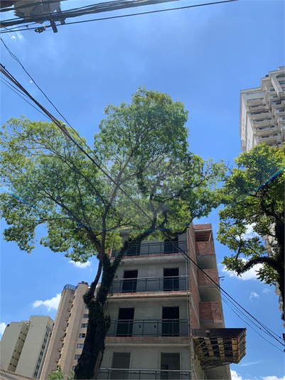 Venda Apartamento São Paulo Água Fria REO928625 13