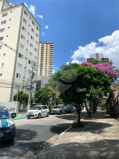 Foto REO928639