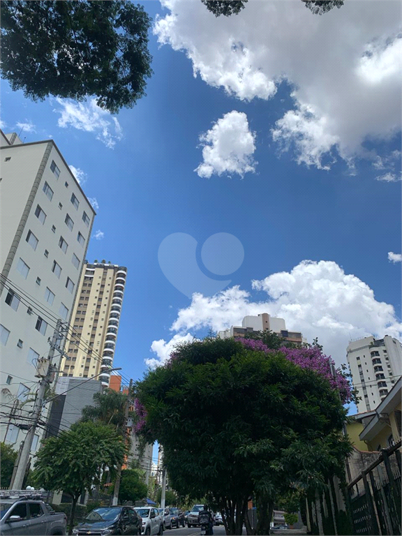 Foto REO928639