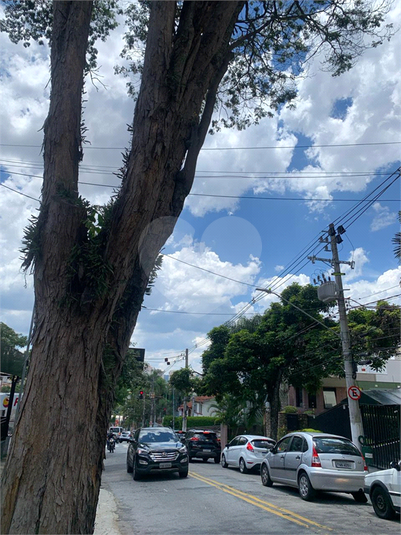 Foto REO928639