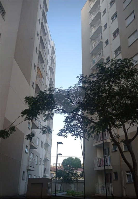 Venda Apartamento São Paulo Vila Nova Curuçá REO929867 2