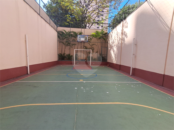 Foto REO929962