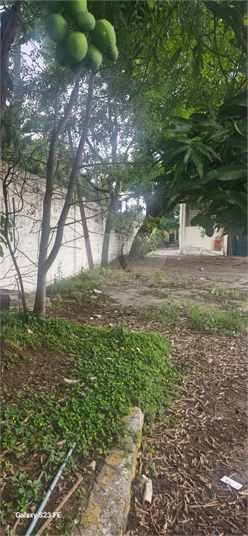 Aluguel Galpão São Paulo Jardim Guanca REO930143 62