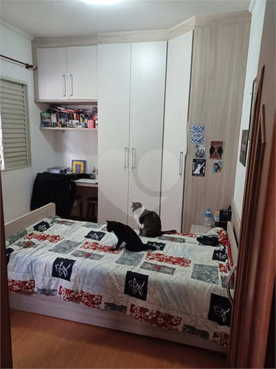 Foto REO930532