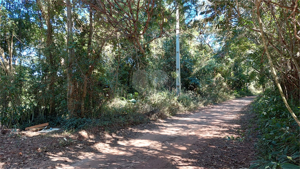 Venda Área de Terra Atibaia Jardim Paulista REO930541 2