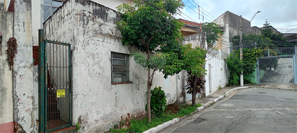 Venda Terreno São Paulo Vila Portuguesa REO930602 52